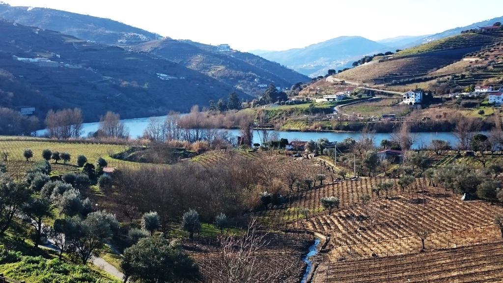 Casa Quinta da Adega do Chão - Vale do Douro Vila Lamego Quarto foto