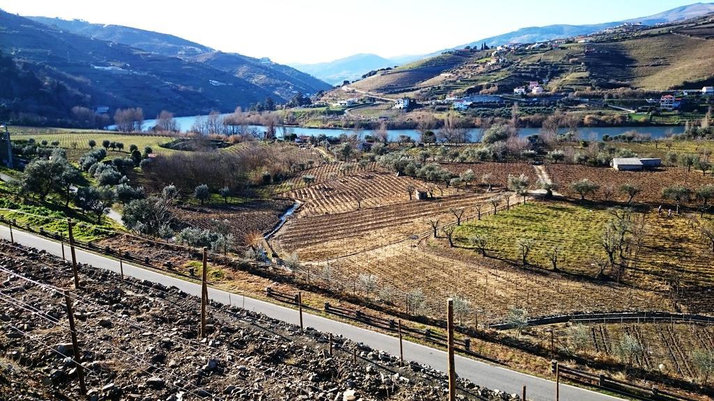Casa Quinta da Adega do Chão - Vale do Douro Vila Lamego Quarto foto
