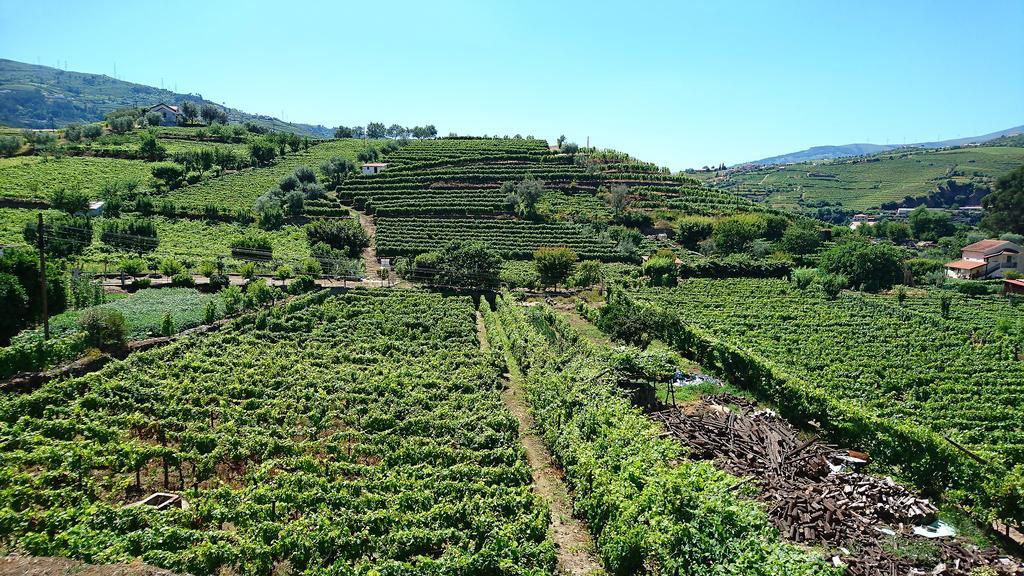Casa Quinta da Adega do Chão - Vale do Douro Vila Lamego Exterior foto